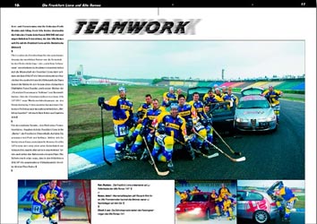 lions inteam